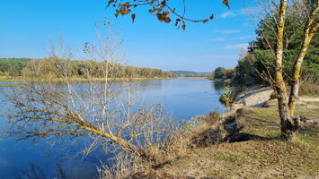 311447310 666651498429426 5810471103958647858 n