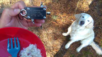 scaled IMG 20241012 102527