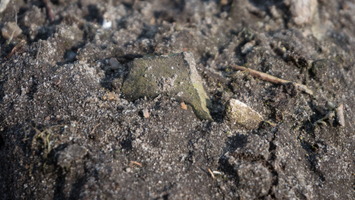 Fragment naczynia glinianego ?